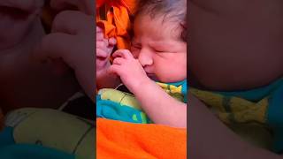 Cute bird little prince baby viralvideo shorts littleprincess cutebaby [upl. by Esinehs]