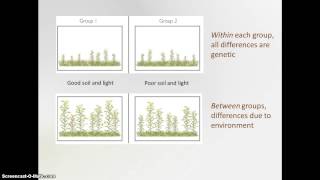 Heritability [upl. by Harlene]