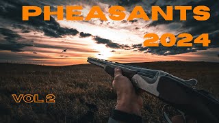 Pheasant Hunting Vol 2  2024 [upl. by Koser]