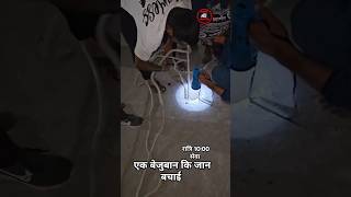 20 फुट गहरे पाईप में फसे छोटे dog 🐕 कि जान बचाईcowdogsrescueshortsreels [upl. by Kcinnay]