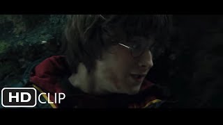 Harry Battles Voldemort  Harry Potter and the Goblet of Fire 45 Movie CLIP 2005 HD [upl. by Davidoff212]