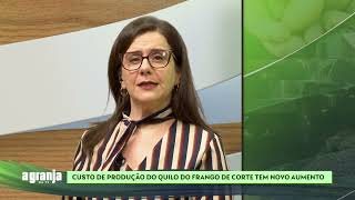 CUSTO DE PRODUÇÃO DO QUILO DO FRANGO DE CORTE TEM NOVO AUMENTO  A GRANJA NA TV [upl. by Amliw]