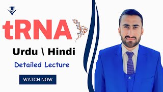 tRNA  transfer RNA strcuture and function  urdu \ Hindi molecular Biology  Shahzad Rasool [upl. by Jacy]