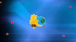 Ubiquitin System Animation  Nobel Prize in Chemistry 2004 Technion [upl. by Brade]