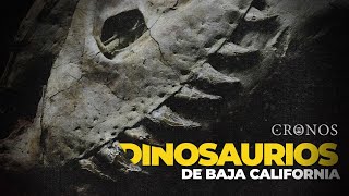 Cronos Dinosaurios de Baja California tras las huellas de un pasado colosal [upl. by Evreh]