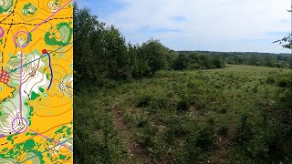 WMOC Long Finals  Orienteering Headcam video [upl. by Renate]