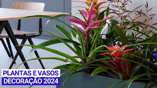 PLANTAS E VASOS NA DECORAÇÃO PARA 2024 [upl. by Frick]