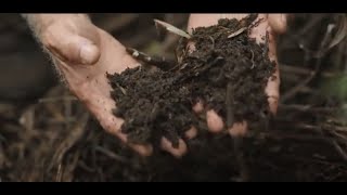 Soils for Life [upl. by Mazur]