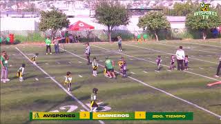 ELECTRONES ORO VS CARNEROS [upl. by Trust]