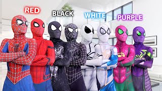 PRO 6 SpiderMan Bros vs ALL Color Day Compilation  1 Hour by FLife TV [upl. by Dardani]