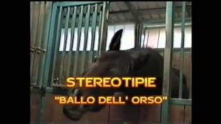 DISTURBI COMPORTAMENTALI DEL CAVALLO PARTE 2  AGGRESSIVITA TICCHIO DAPPOGGIO BALLO DELLORSO [upl. by Relly]