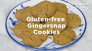 GlutenFree Gingersnap Cookies  AltBaking Bootcamp  WellGood [upl. by Adnyl]