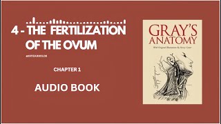 4  THE FERTILIZATION OF THE OVUM  EMBRYOLOGY  CHAPTER 1  ANATOMY OF THE HUMAN BODY  HENRY GRAY [upl. by Eveiveneg]