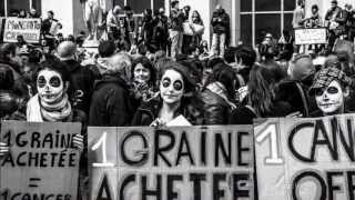 March Against Monsanto French 2013  Collectif 40 [upl. by Killen553]