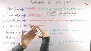 Knee joint biomechanics Movements at knee joint in Urdu Hindi [upl. by Barbie352]