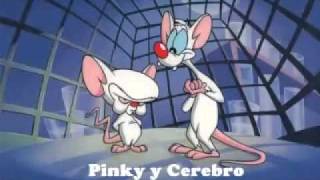 Tema de Pinky y Cerebro El Club de Tobi [upl. by Tlevesor519]