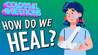 How Do We Heal  COLOSSAL QUESTIONS [upl. by Hassett]