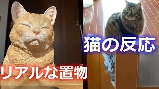 リアルな猫の置物を見た猫の反応がこちら [upl. by Rosinski]