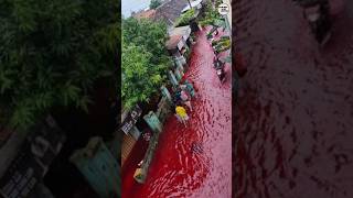 Blood Rain In Kerala  2001😱 shorts kerala bloodrain [upl. by Ycnuahc]