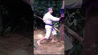 Makiwara practice Haito uchi Shuto Uchi Rare shooting Kagayaku Worldwide kagayaku karate [upl. by Leibrag302]