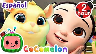 ¡Pijamada de Jelly Bean  CoComelon y los animales 🍉 Dibujos animados para niños [upl. by Newton]