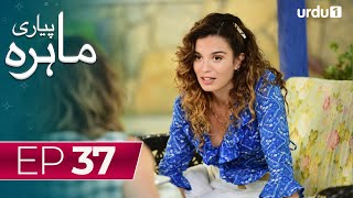 Pyari Mahira  Episode 37  Turkish Drama  My Sweet Lie  12 February 2024 [upl. by Einapets470]