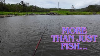 Fishing At Weir amp Big Snake Encounter [upl. by Sharron]