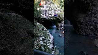 Natural Bridge Springbrook National Park Gold Coast Australia [upl. by Dlarej]