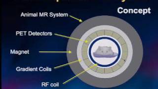 IMRI amp Positron Emission Tomography A New Tool for Biomedical Imaging [upl. by Shirley313]