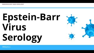 EpsteinBarr Virus Serology  Heterophile Antibodies [upl. by Farmelo21]