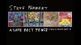 Steve Forbert Discusses A Safe Past Tense [upl. by Anes]