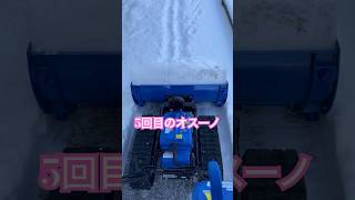 ネコと子ネコとおじさんのネコ無し動画 青森十和田5回目のオスーノ shorts 除雪機 オスーノ 青森 十和田 雪道 青森雪 [upl. by Gabey970]