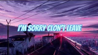 SLANDER IM SORRY CLONT LEAVE LYRICS [upl. by Xenos964]