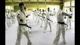 Kyokushin Karate  Best Technique King of Technic Part III [upl. by Winchell]