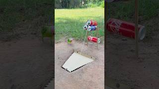 Really Beautiful And DIY Parrot Trap youtubeshorts [upl. by Lledrac]