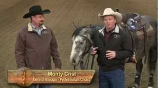 Ken McNabb Discovering The Horseman Within Bits Part 1 [upl. by Aicemed]