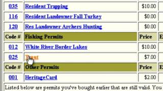 EPermits How To Buy [upl. by Jami]