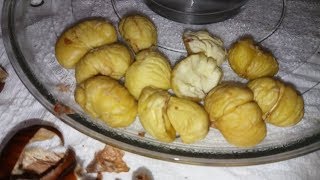 CASTAGNE COTTE AL MICROONDE IN 5 MINUTI [upl. by Anaili135]