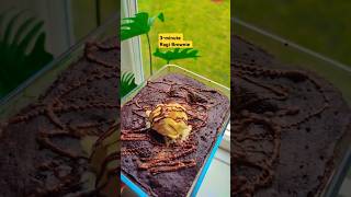 3 minute Brownie recipe short [upl. by Emmerich]