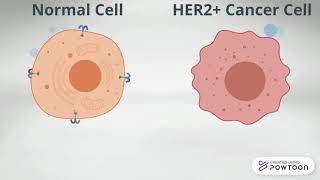 Use of CRISPRCas9 in Treatment of HER2 Breast Cancer [upl. by Airamat727]