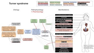 Turner syndrome mechanism of disease [upl. by Nohtan663]