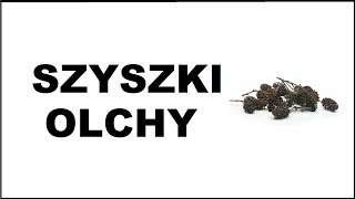 Szyszki olchy w akwarium Fakty i mity [upl. by Diley]