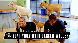 Darren Waller Tries Goat Yoga With Kristine Leahy  Raiders Talk of the Nation  NFL [upl. by Vernice606]