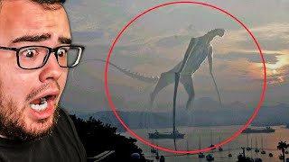 Reacting to Mysterious Creatures Caught on Camera [upl. by Ayifas]