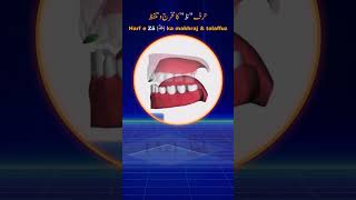 How to pronounce Zua  ظ  letter in Arabic  Arabic Alphabet Pronunciation  quran tajweed [upl. by Ruenhs]