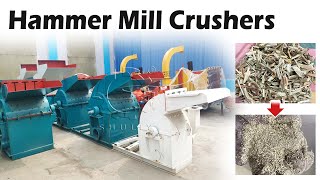 Ultimate Hammer Mill Crusher in Action Efficient Grinding at Its Besthammermill crusher [upl. by Nivlen]