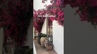 Andalusia 🌹 Spain spain travelinspiration goals dream traveltok guitar andalucia motivation [upl. by Ehttam19]