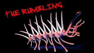 The Rumbling ft Hallucigenia [upl. by Ilwain473]