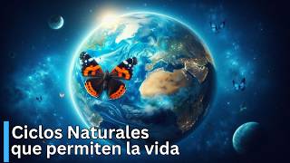 CICLOS Naturales Que Permiten LA VIDA 🌎 ¿Qué Hace Posible VIVIR en la Tierra 🌎 [upl. by Itnaihc]