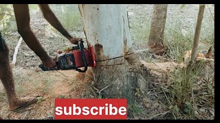 fast ped kaatne wali machinestihlchainsaw stihl ms271🙏🙏🙏🙏🙏 [upl. by Elyl]